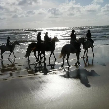 La Ferme Antoinette Les Mathes